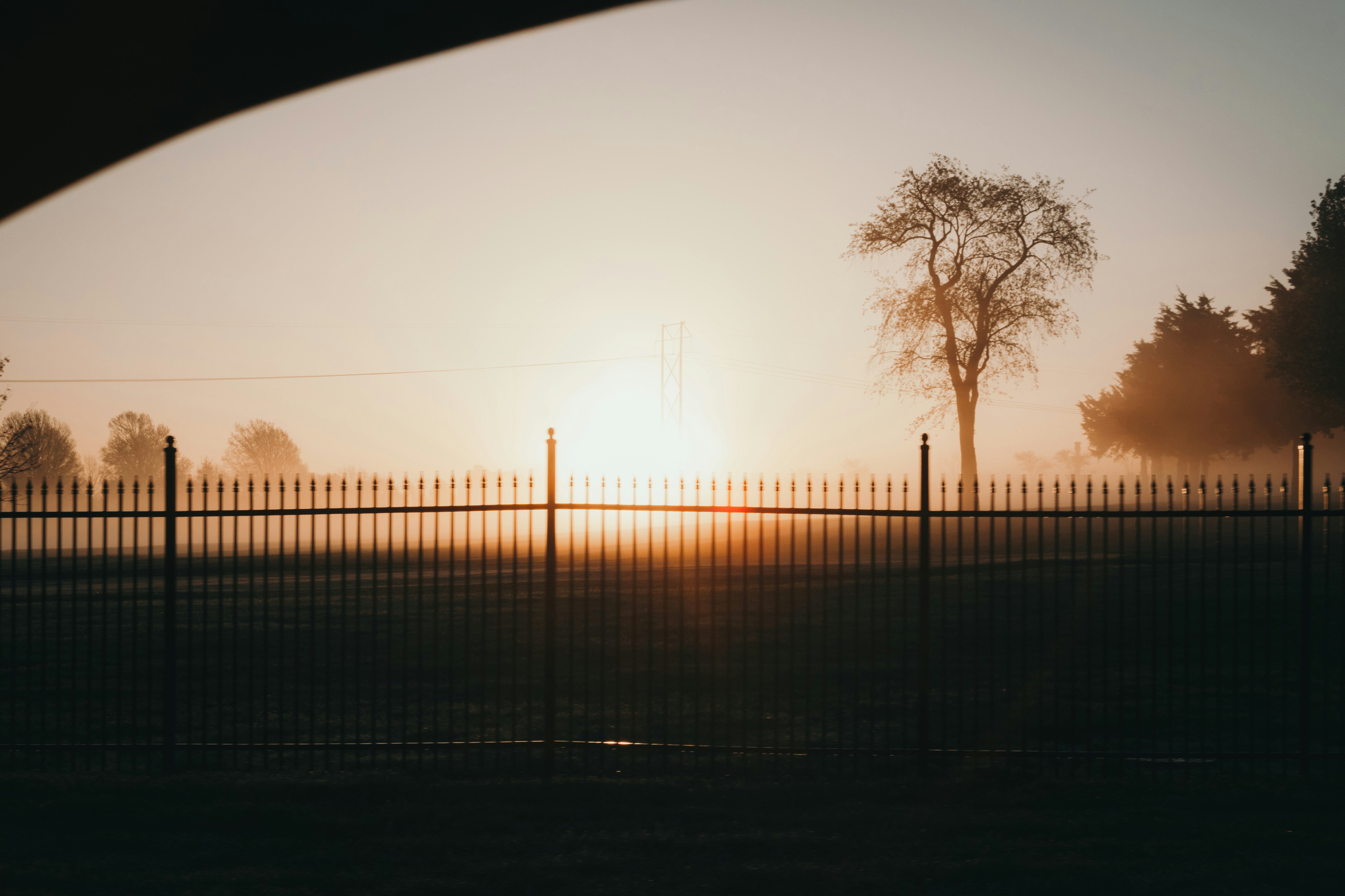 silhouette of trees near fence during sunset